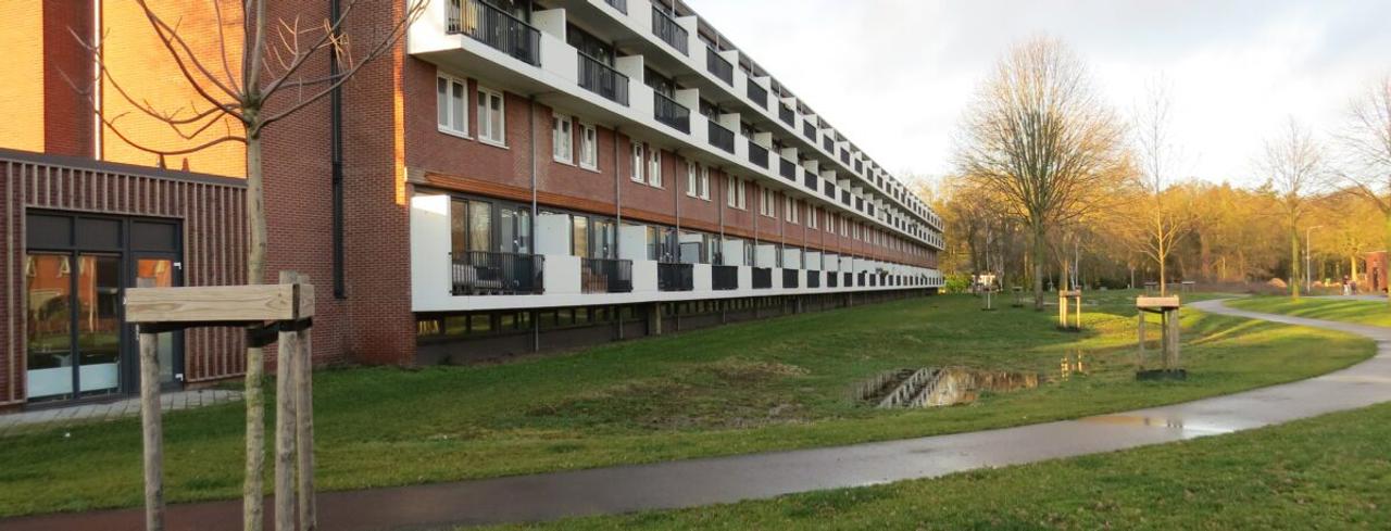 3-bedroom apartment with balcony in De Nieuwe Es - Image 12