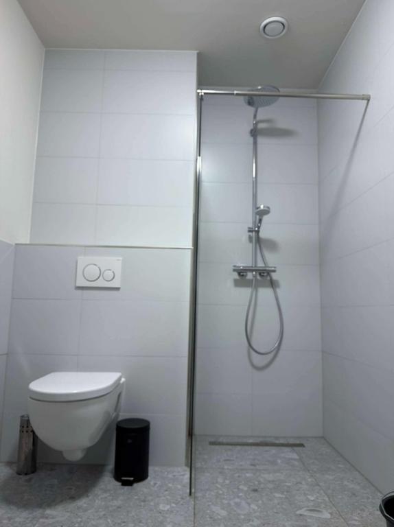 Gemeubileerd appartement in Oud Crooswijk - Afbeelding 8