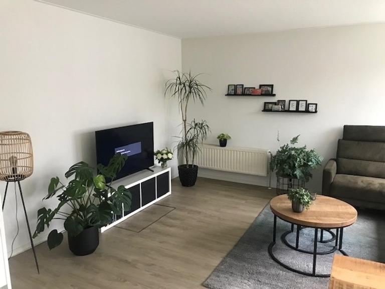 55 m² Apartment with Terrace in Annen - Image 4