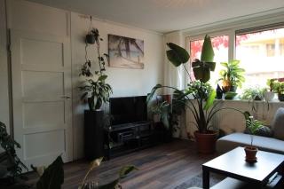 98 m² benedenwoning met grote tuin - Afbeelding 2