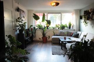 98 m² benedenwoning met grote tuin - Afbeelding 4