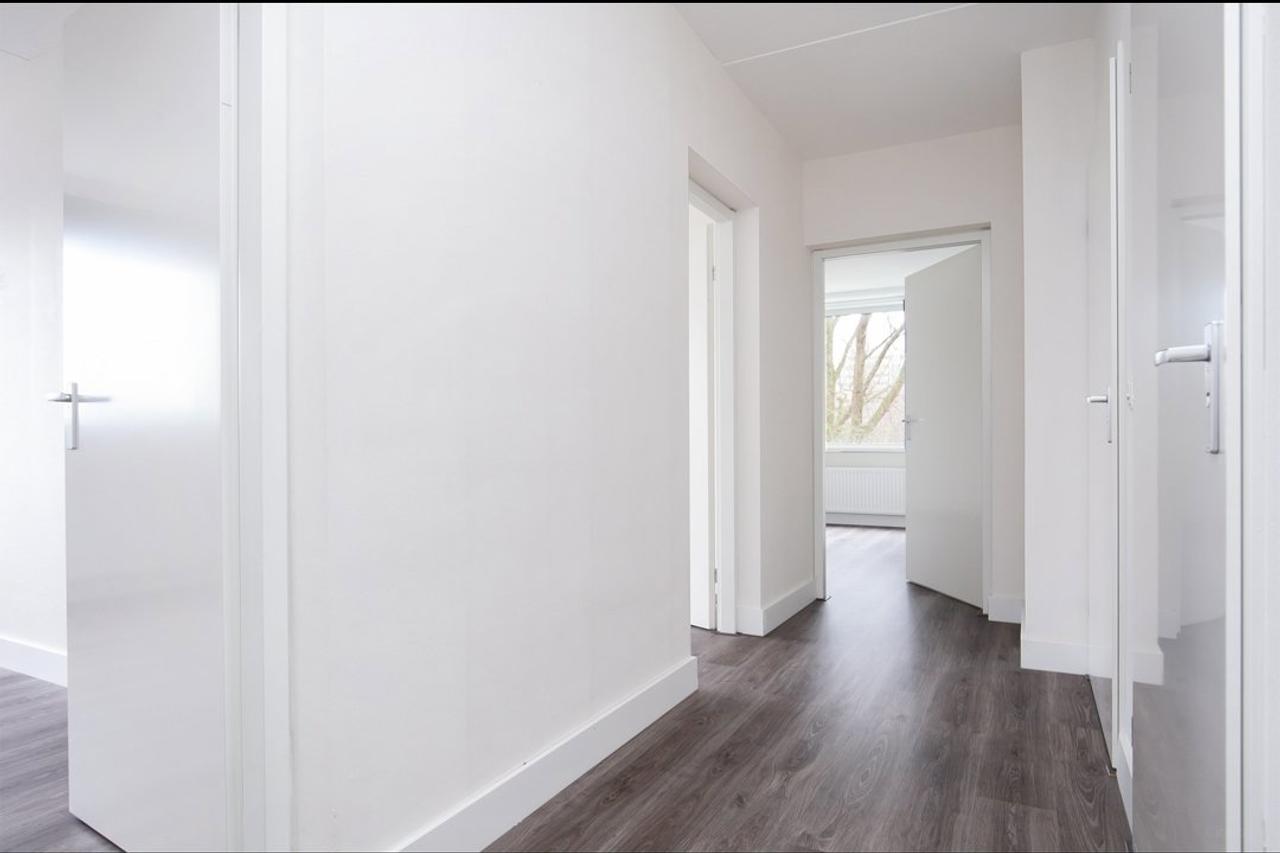 2-Bedroom Corner Apartment on the Zuidas - Image 4