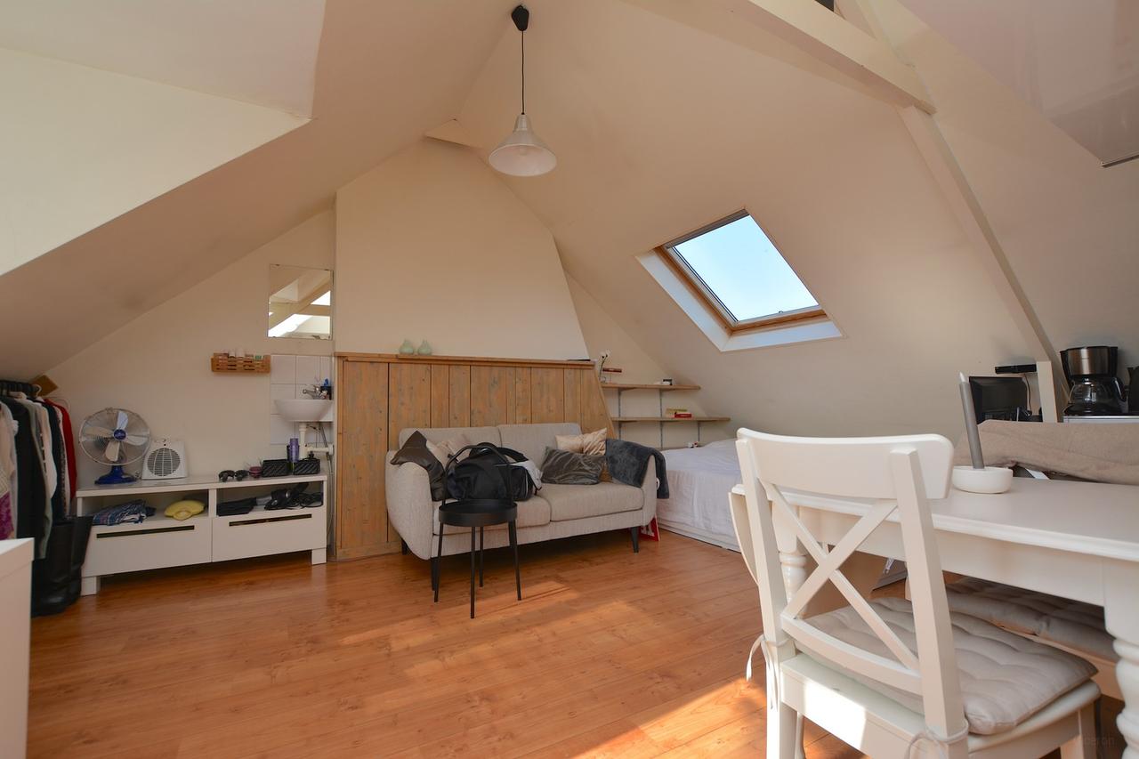 Studio van 22 m² met eigen keuken in Groningen - Afbeelding 3