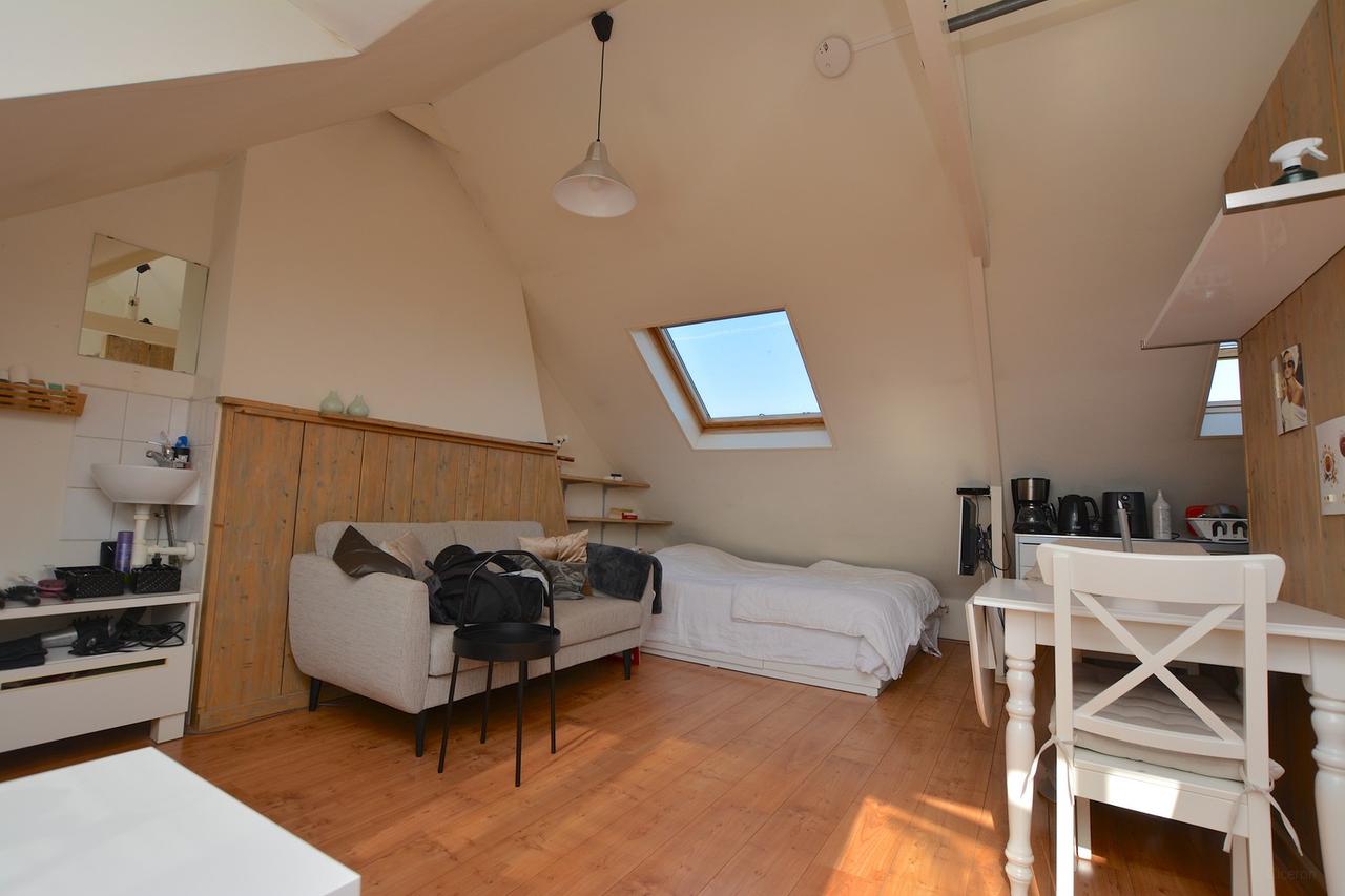 Studio van 22 m² met eigen keuken in Groningen - Afbeelding 4