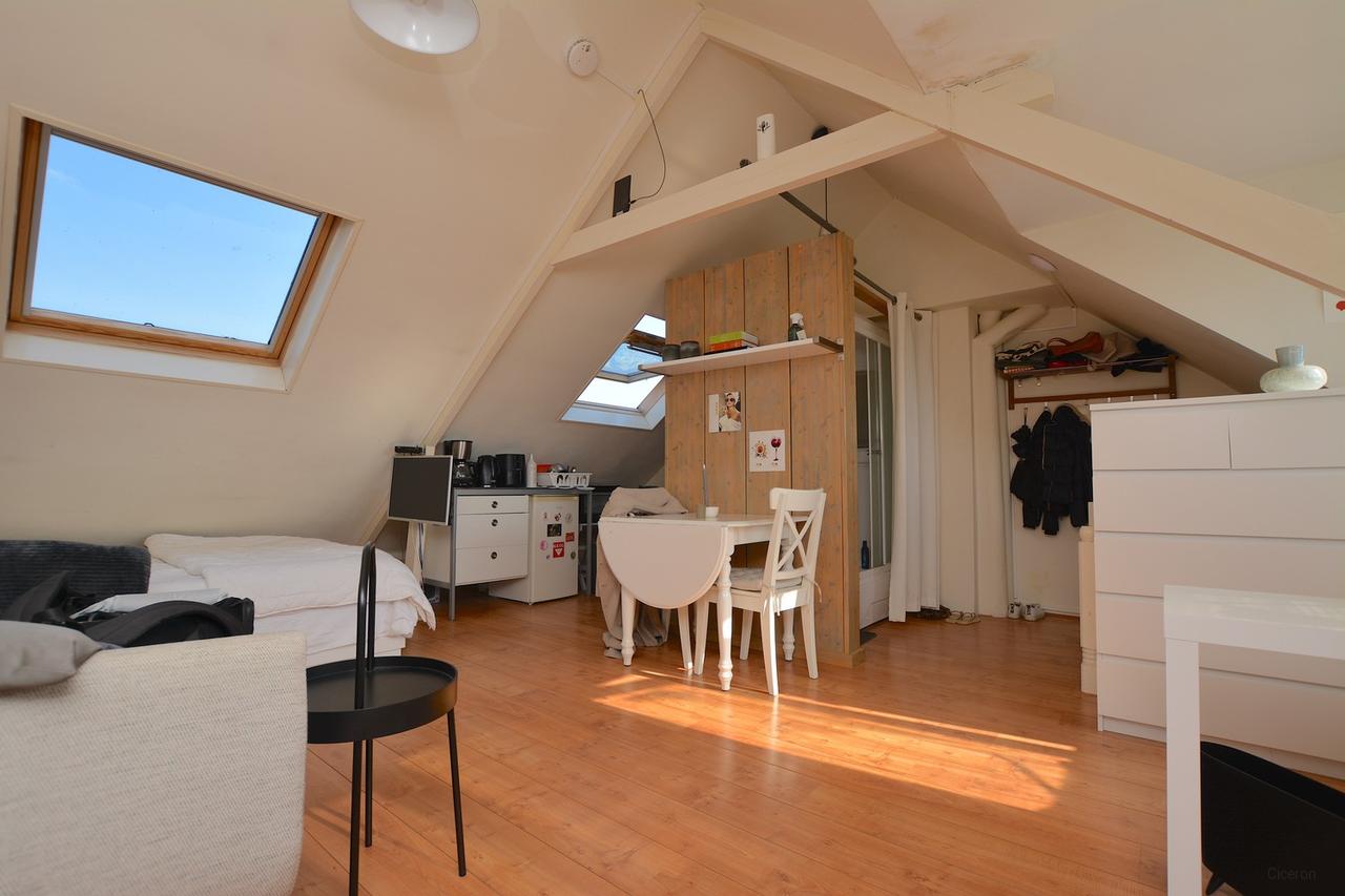 Studio van 22 m² met eigen keuken in Groningen - Afbeelding 6