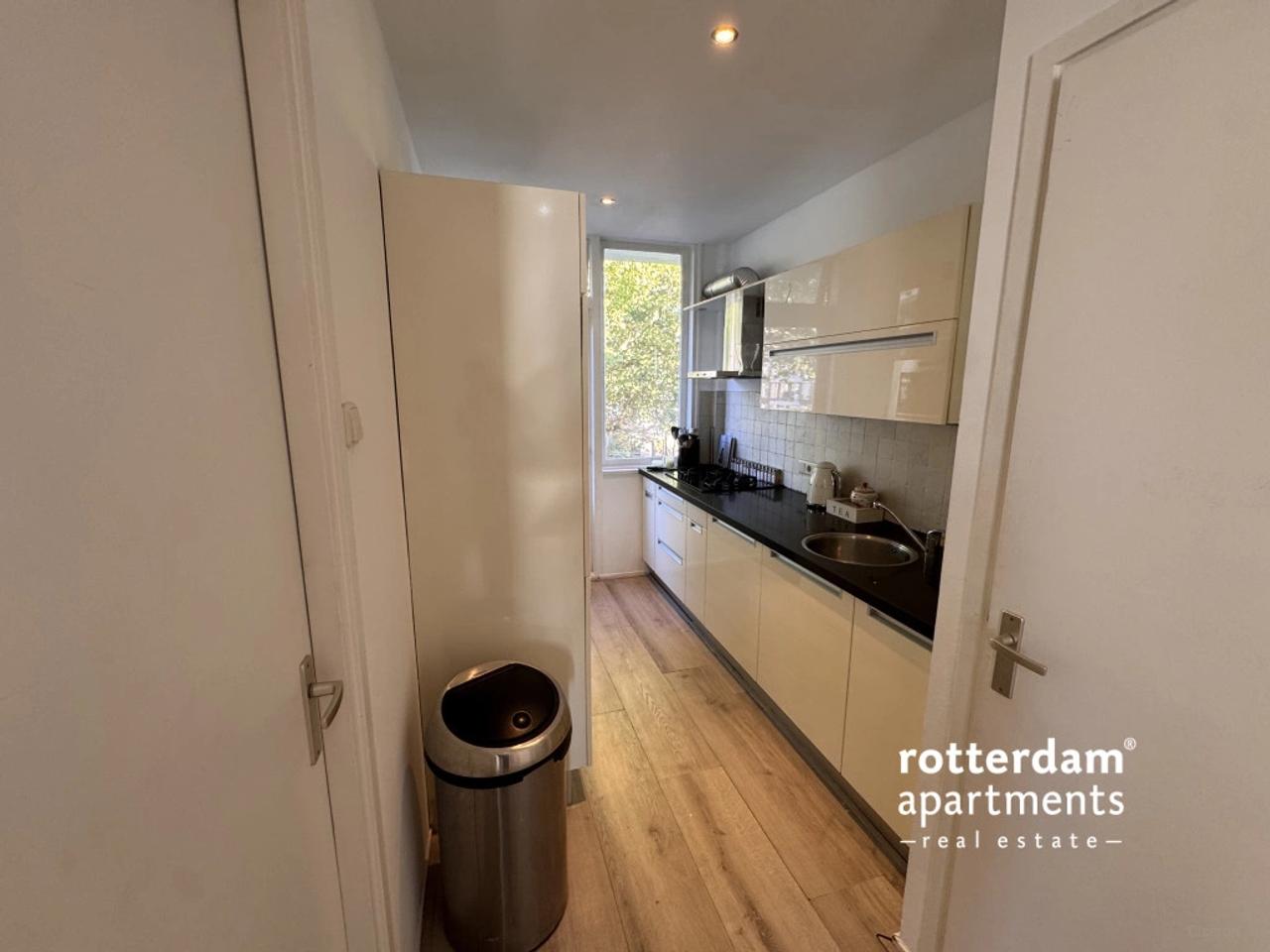 Balkon met uitzicht op Maas en Erasmusbrug - Afbeelding 6