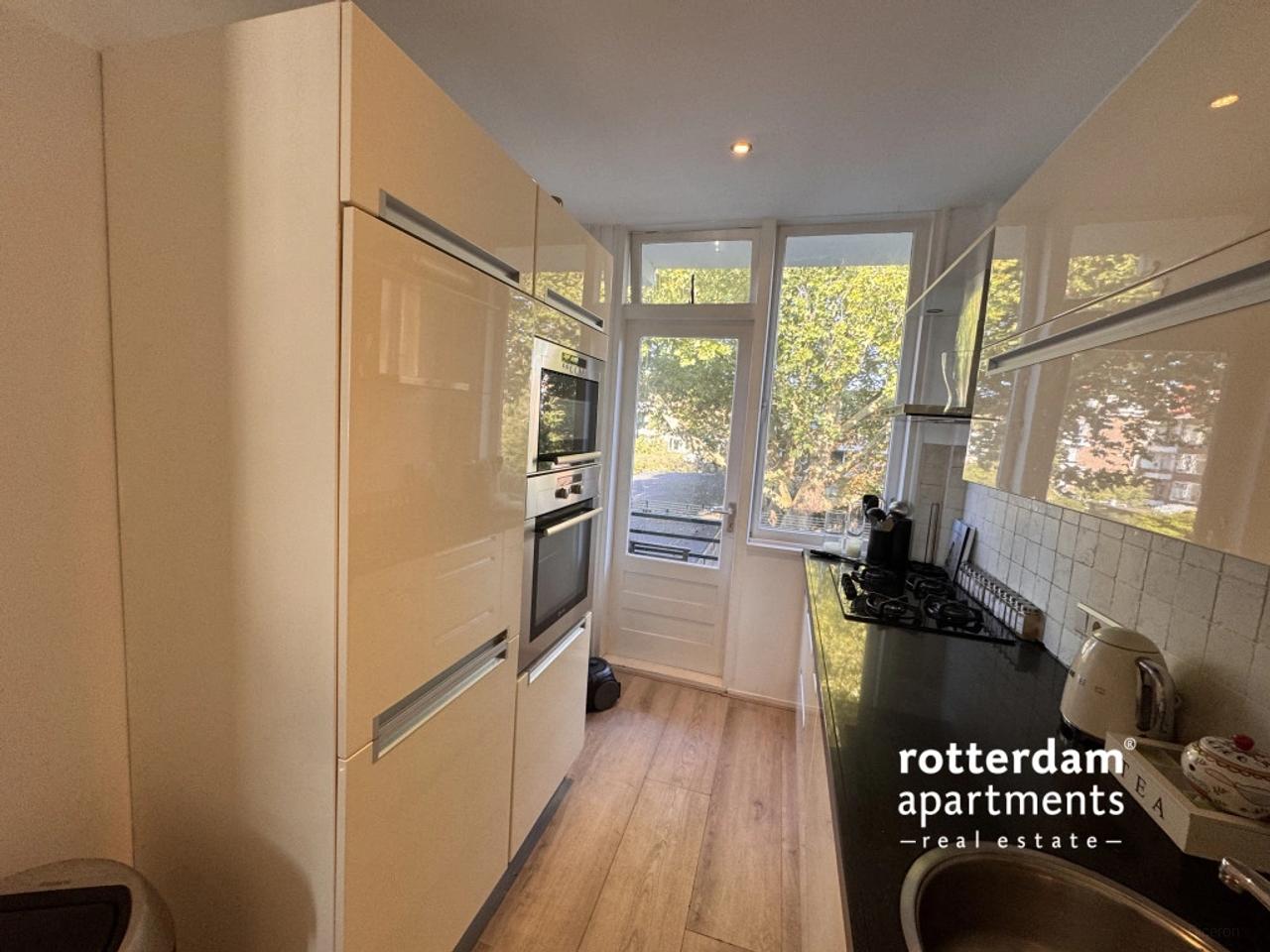 Balkon met uitzicht op Maas en Erasmusbrug - Afbeelding 7