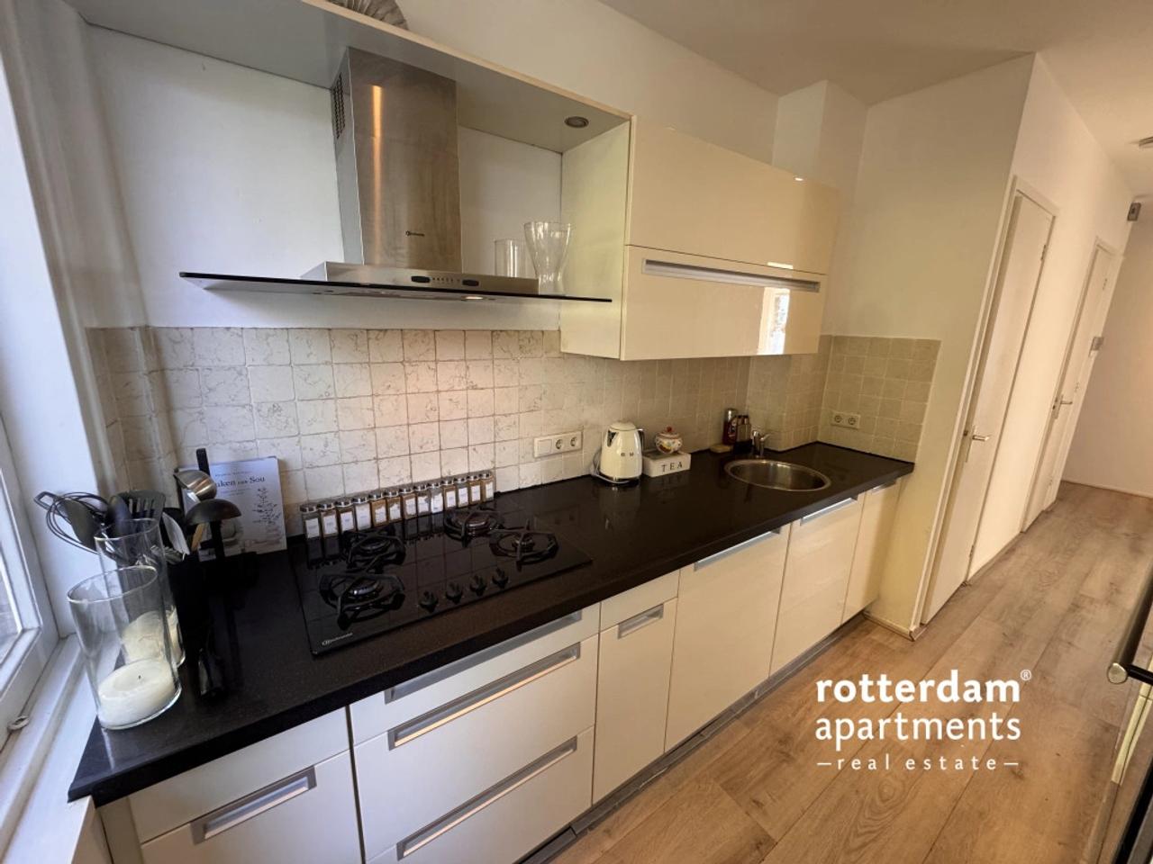 Balkon met uitzicht op Maas en Erasmusbrug - Afbeelding 8