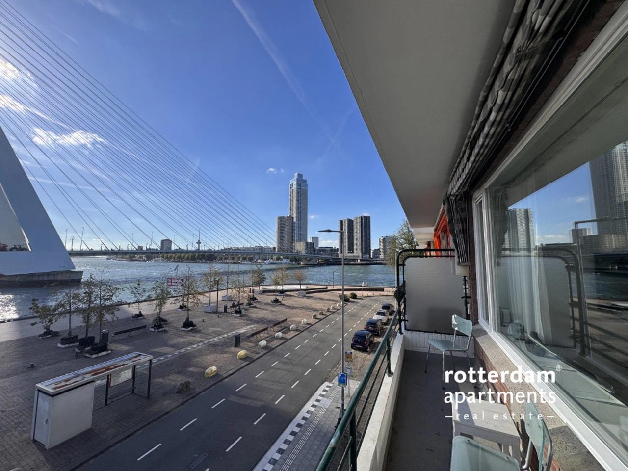 Balkon met uitzicht op Maas en Erasmusbrug - Afbeelding 11