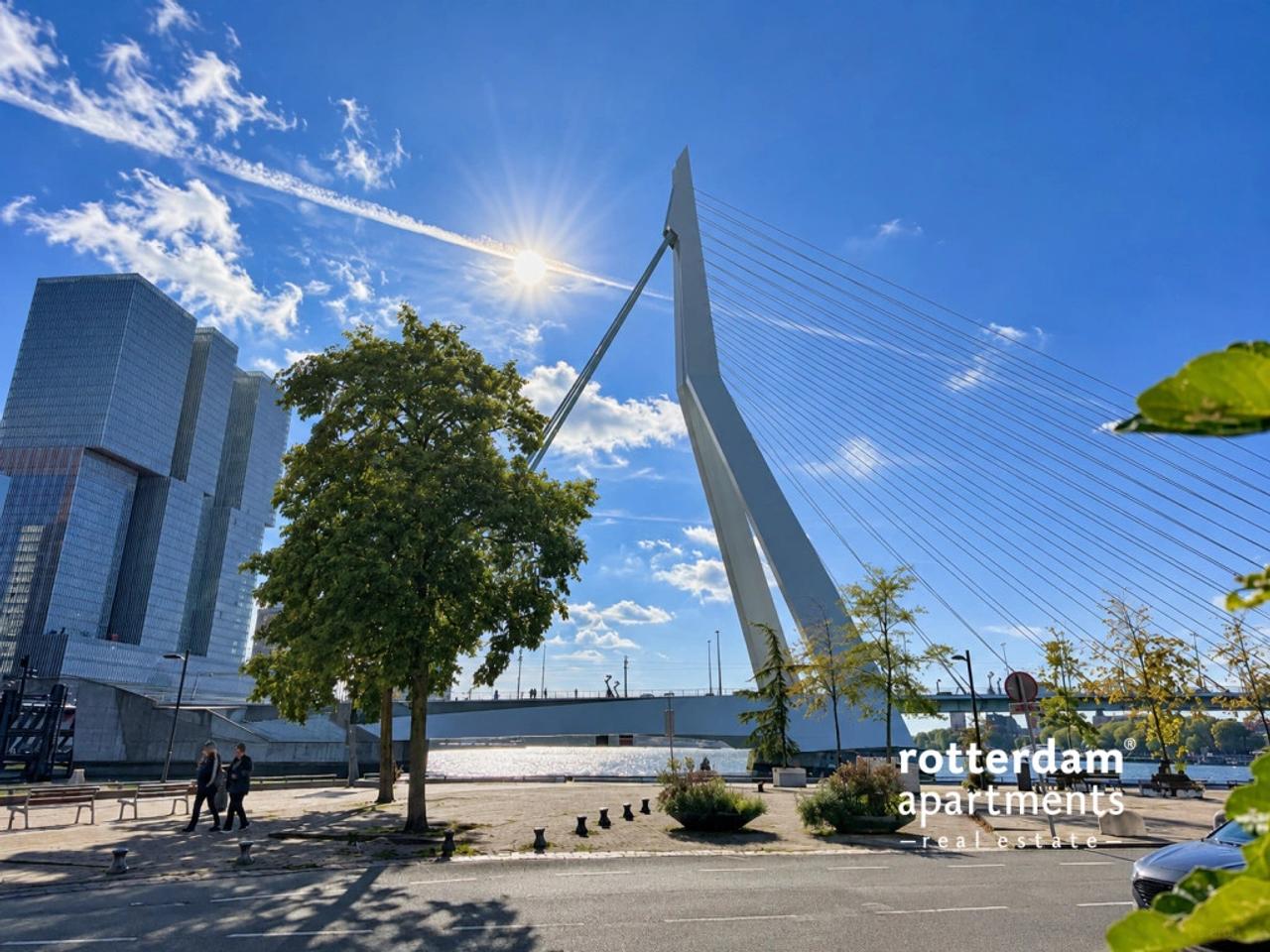 Balkon met uitzicht op Maas en Erasmusbrug - Afbeelding 19