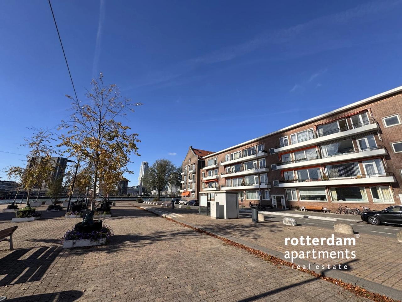 Balkon met uitzicht op Maas en Erasmusbrug - Afbeelding 25