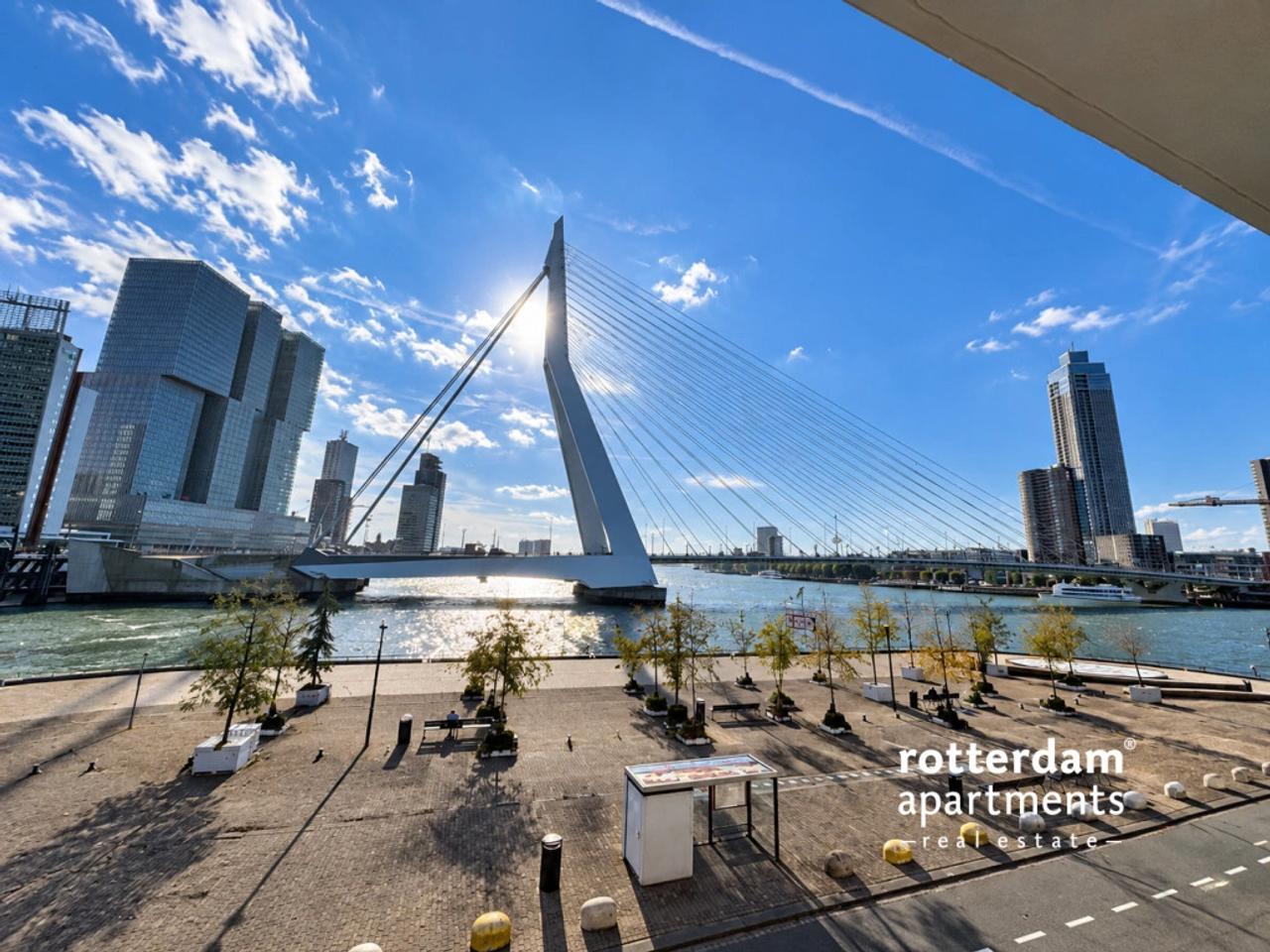 Balkon met uitzicht op Maas en Erasmusbrug - Afbeelding 26