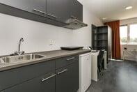 Gemeubileerde studentenstudio in Randwyck - Afbeelding 7
