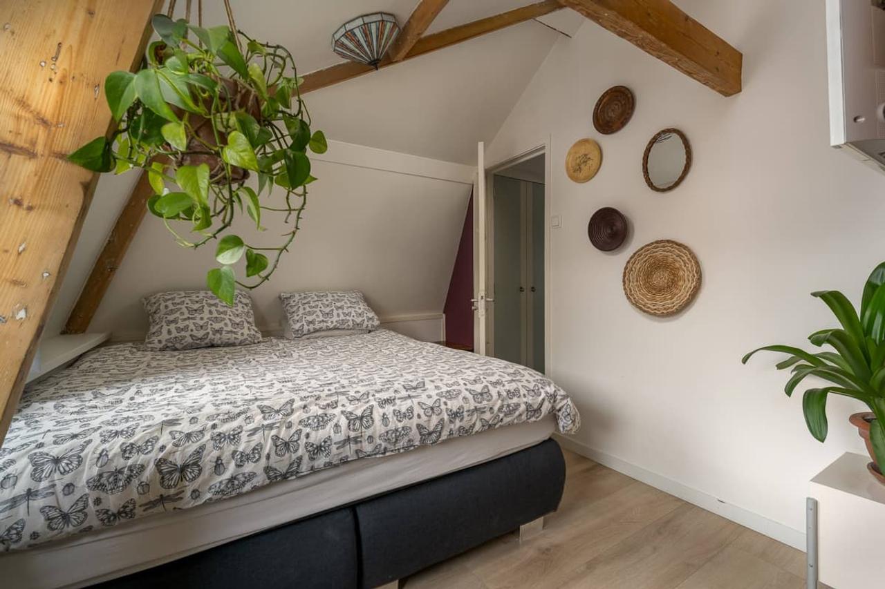 67 m² Apartment in Noorderkwartier - Image 10