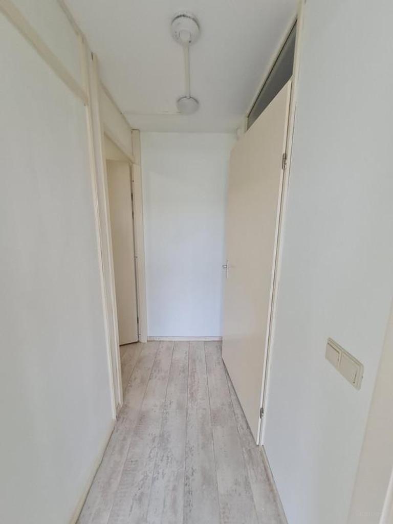 Semi-studio van 21 m² met eigen badkamer in Tilburg - Afbeelding 3