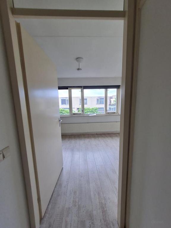 Semi-studio van 21 m² met eigen badkamer in Tilburg - Afbeelding 4