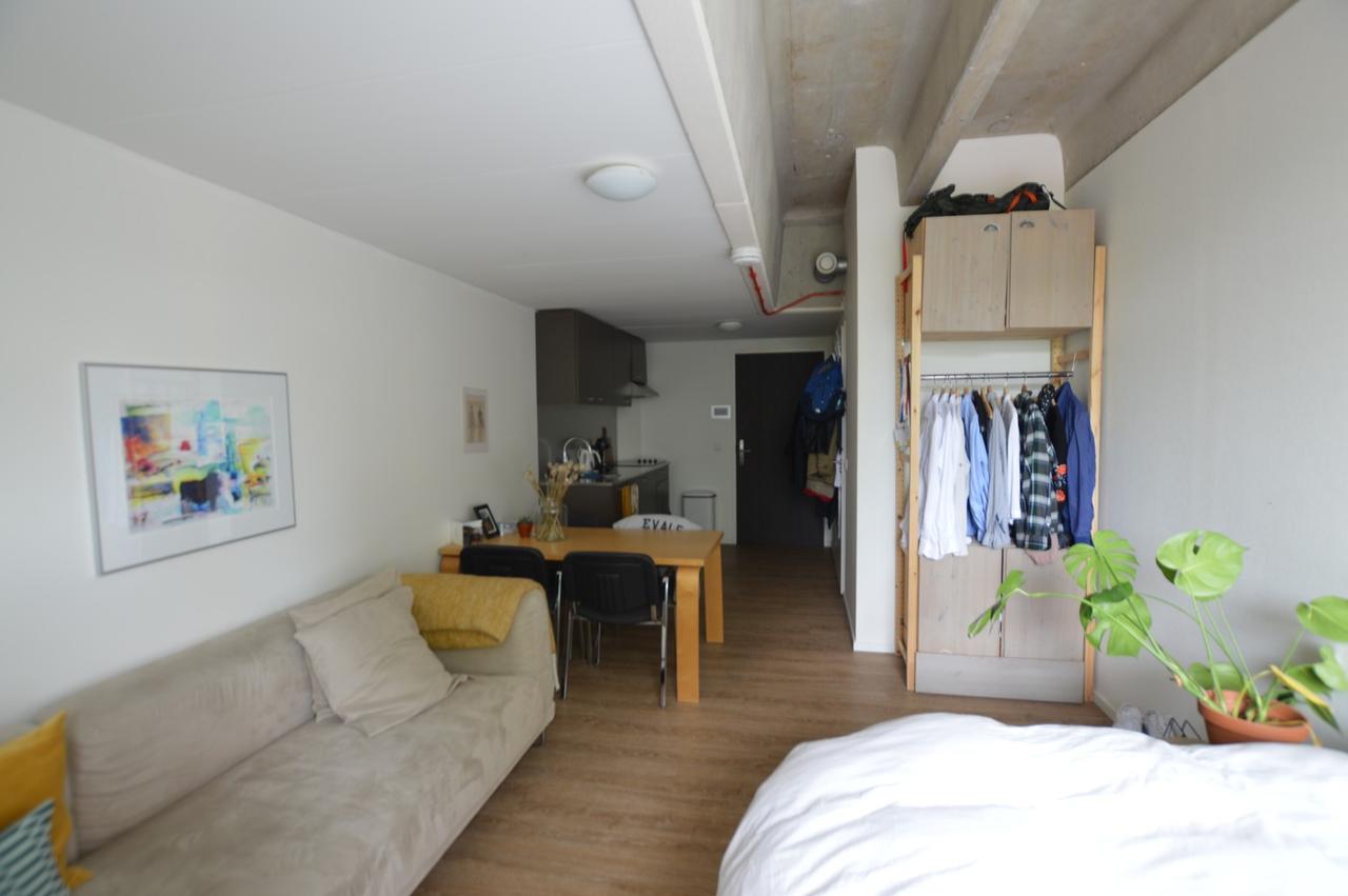 Studio met terras in Bollebieste - Afbeelding 3