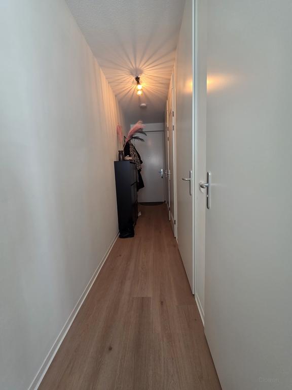 A++ 1-bedroom apartment in Breda - Image 6