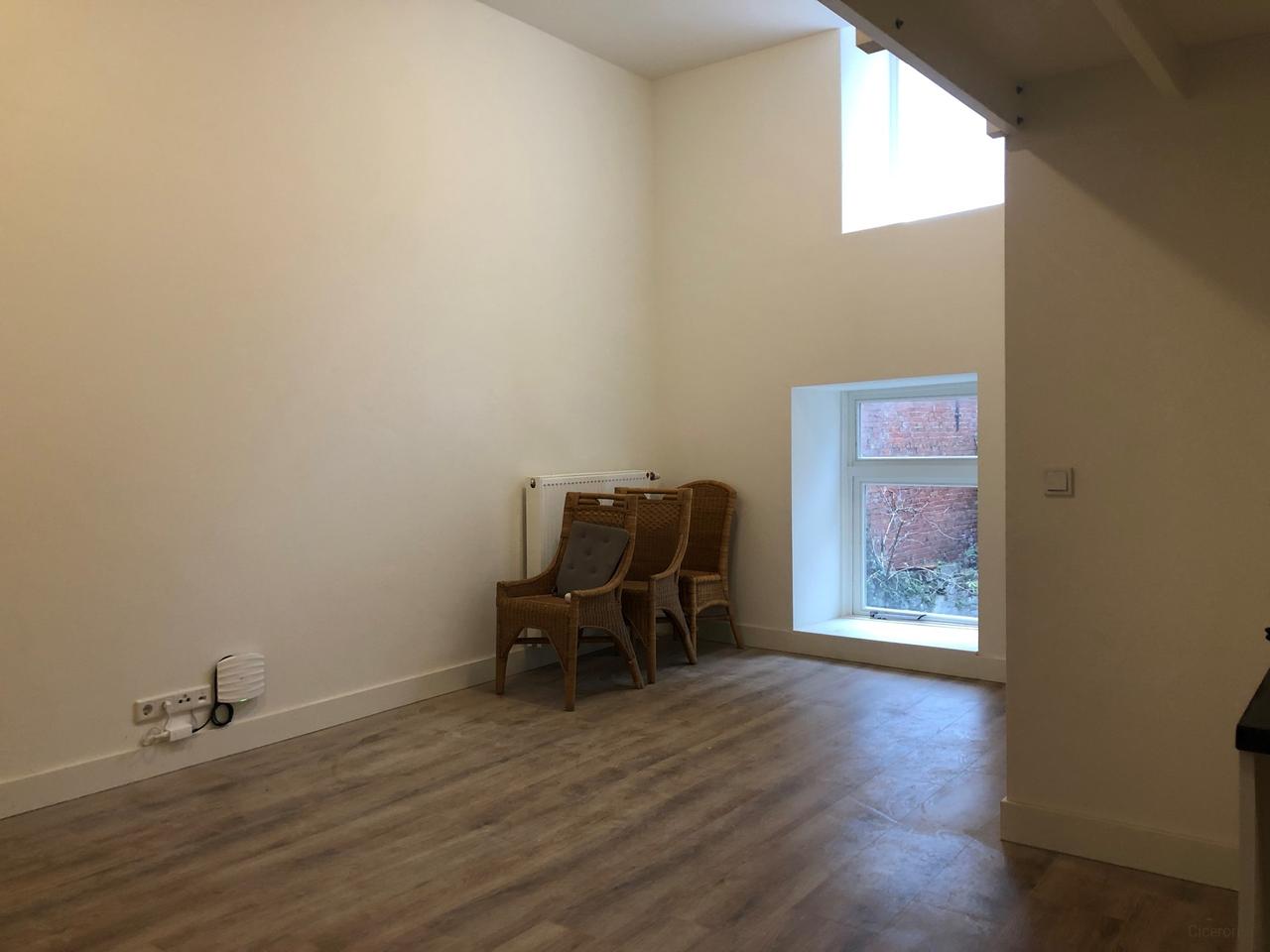 43 m² studio met vide in Binnenstad-Zuid - Afbeelding 3