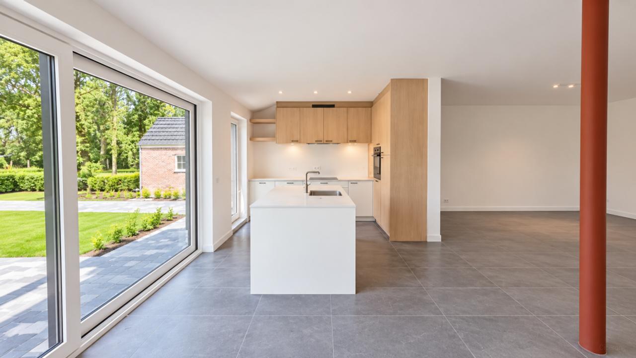Two Homes with 7 Bedrooms in Schijf - Image 10