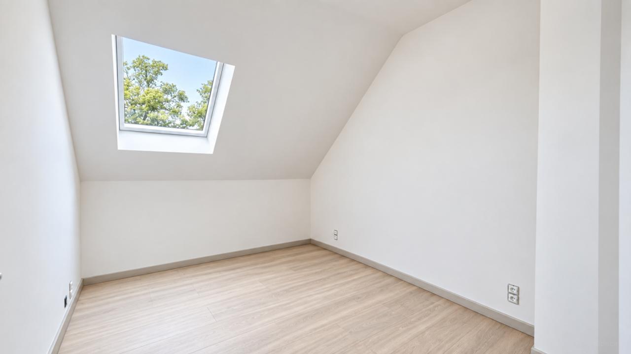 Two Homes with 7 Bedrooms in Schijf - Image 13