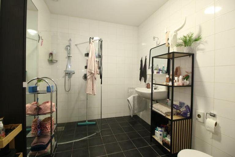 Energielabel A+++ in dorpskern Hendrik-Ido-Ambacht - Afbeelding 9