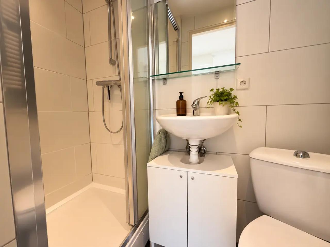 Two-room apartment with internet in Valkenbos - Image 3