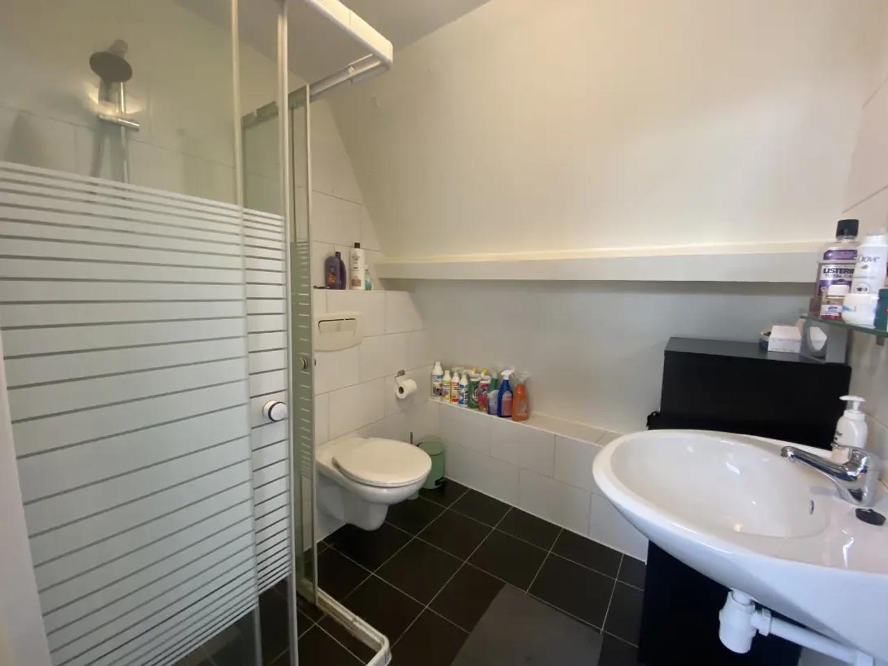 1-bedroom apartment with internet in Valkenbos - Image 8