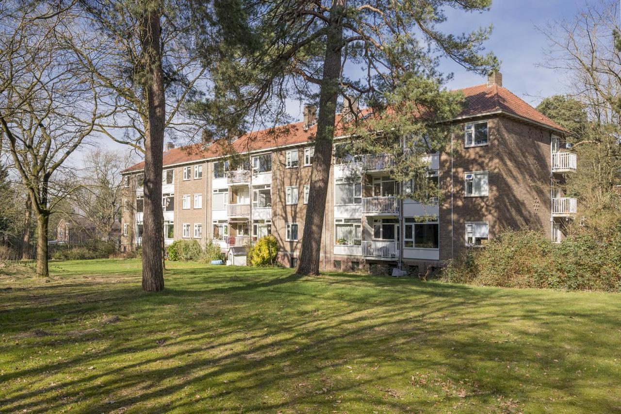 Bosuitzicht en twee badkamers in Amersfoort - Afbeelding 1