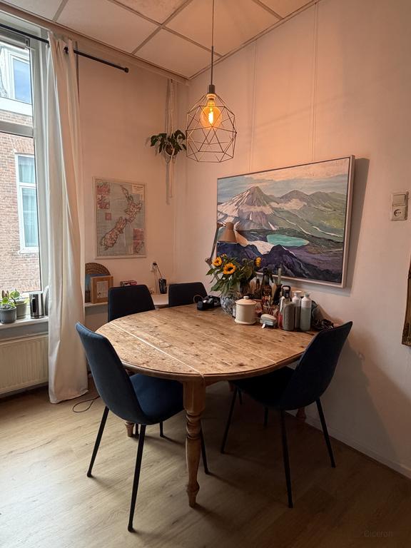 Studentenkamer in Lombok-Oost Utrecht - Afbeelding 3