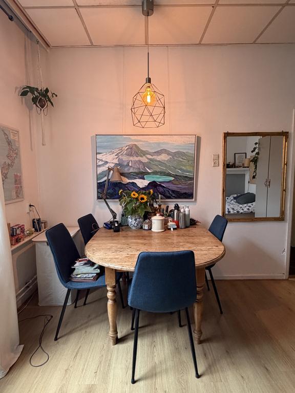 Studentenkamer in Lombok-Oost Utrecht - Afbeelding 4