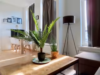 A+ studio with mezzanine in Zeeheldenkwartier