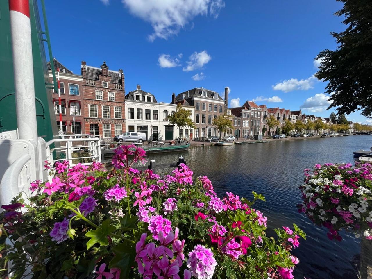 Furnished 3-Room Apartment on Oude Singel - Image 1
