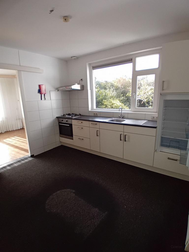 145 m² Home with Garden in Roermond - Image 2