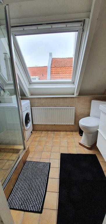 Gemeubileerd 2-kamerappartement in Bakenes - Afbeelding 19