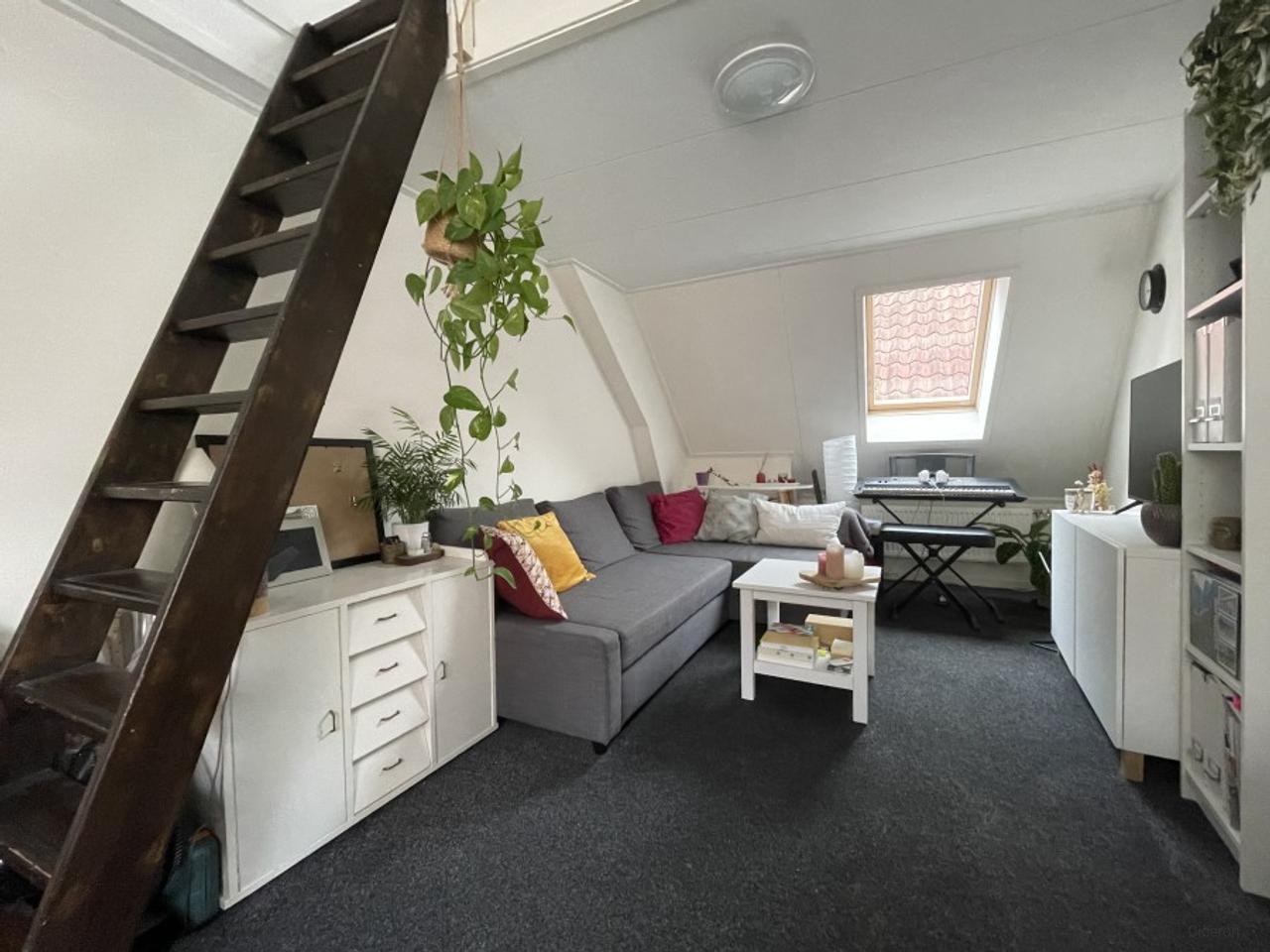 22 m² Room with Sleeping Loft - Image 2