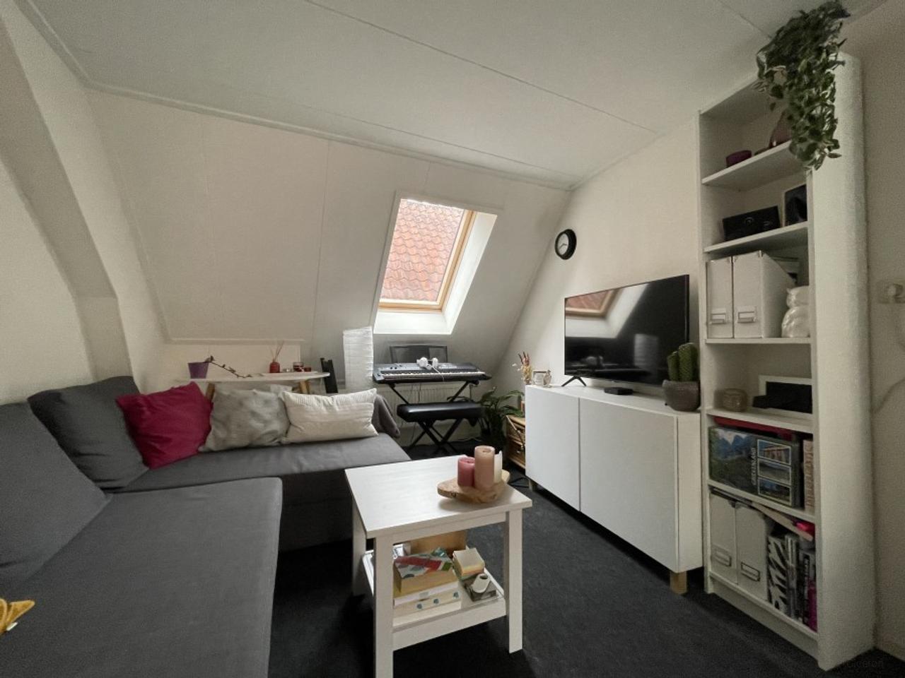22 m² Room with Sleeping Loft - Image 3