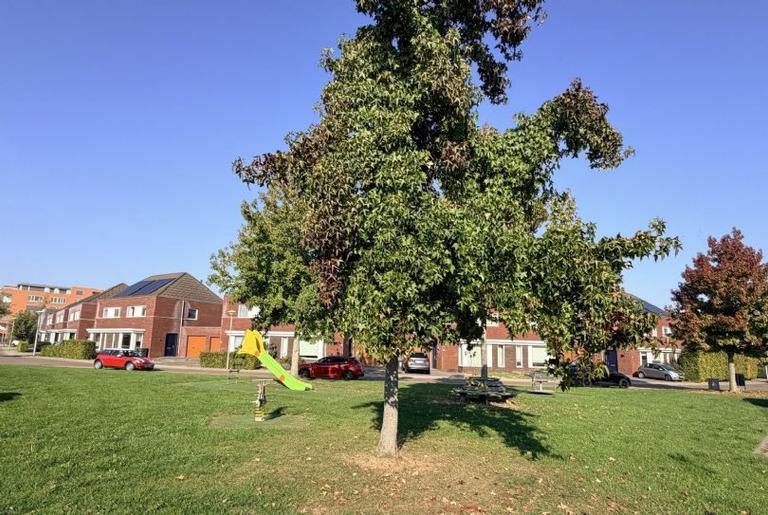 117 m² tussenwoning met tuin in Hoogveld - Afbeelding 2
