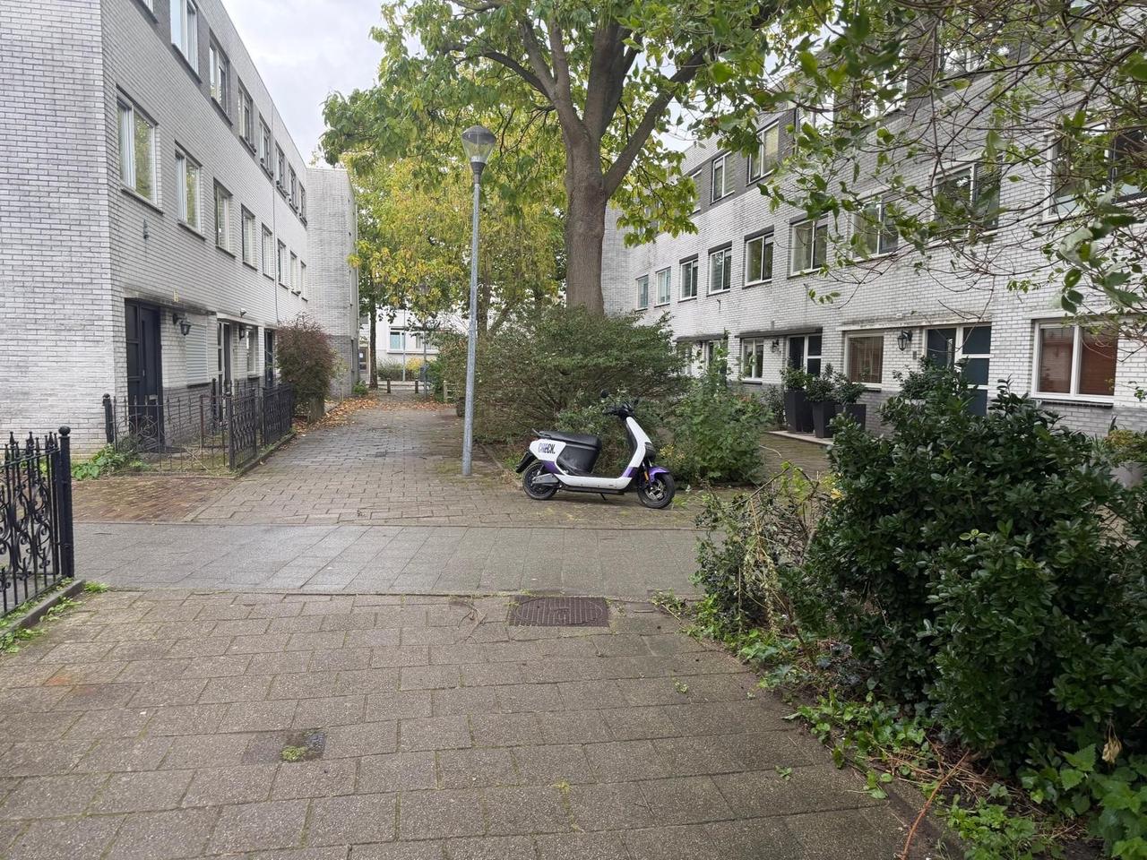 4-Bedroom House with Garden in Haarlem - Image 33