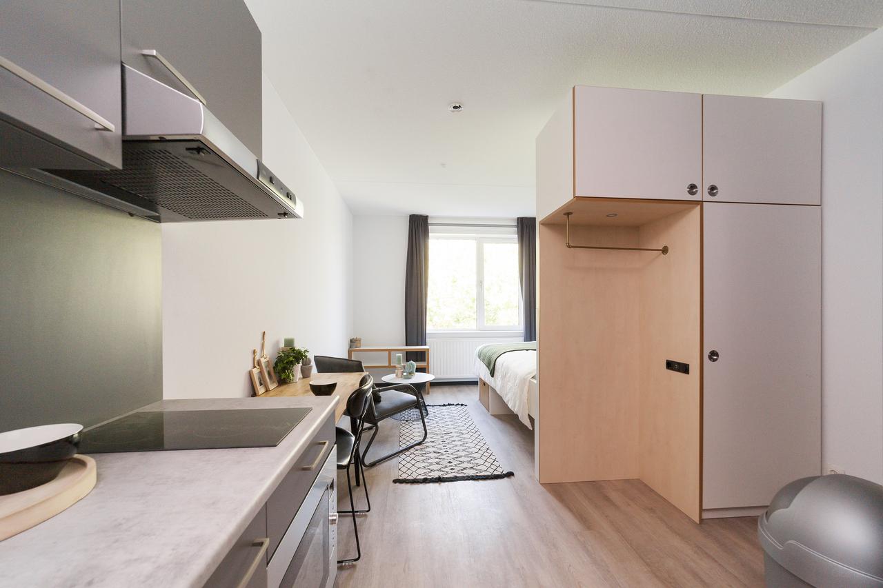 Energy-efficient student studio near university - Image 1