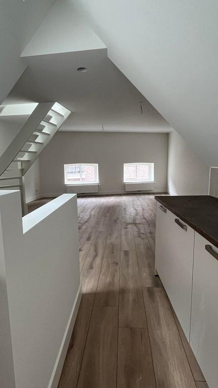 Gerenoveerd 2-kamerappartement in hartje Den Bosch - Afbeelding 5
