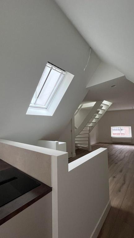 Gerenoveerd 2-kamerappartement in hartje Den Bosch - Afbeelding 8