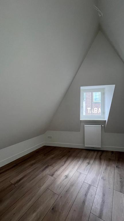Gerenoveerd 2-kamerappartement in hartje Den Bosch - Afbeelding 9
