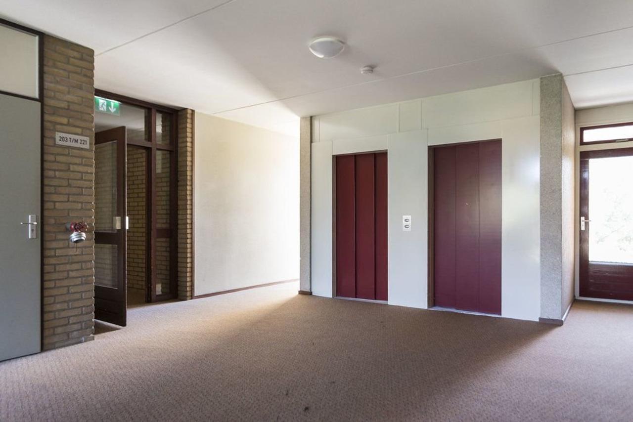 Furnished 1-Bedroom Apartment with Green Views - Image 19