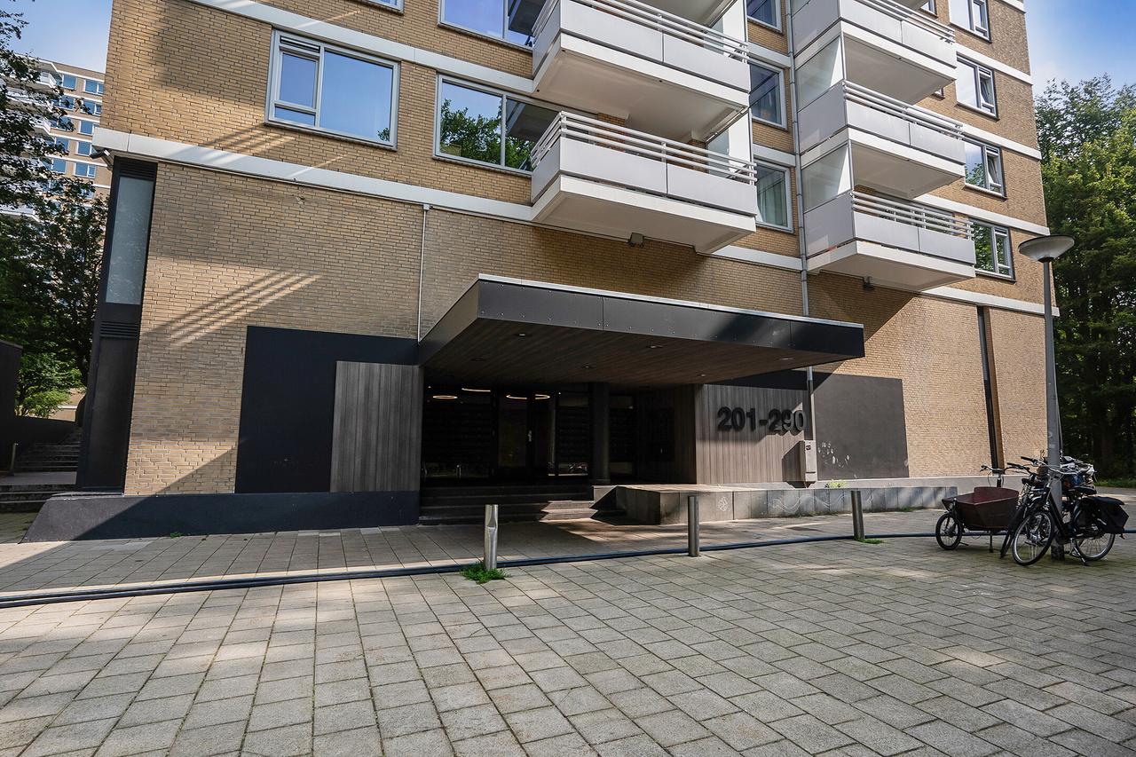 4 Bedrooms and Balcony in Overtoomse Veld - Image 15