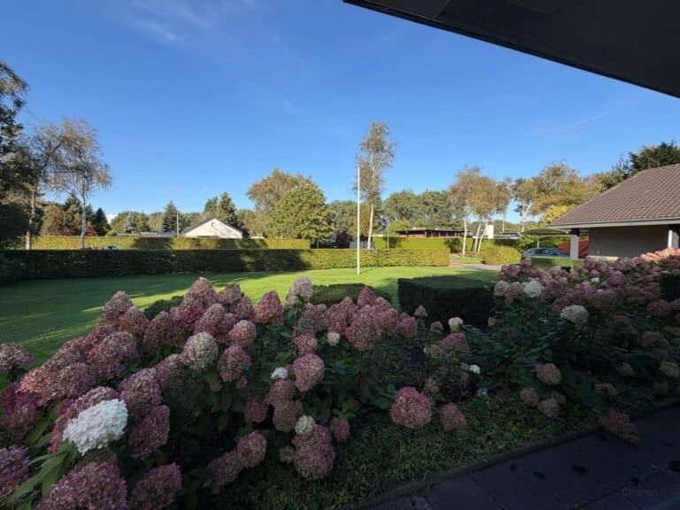 315 m² detached bungalow with 5 bedrooms - Image 7