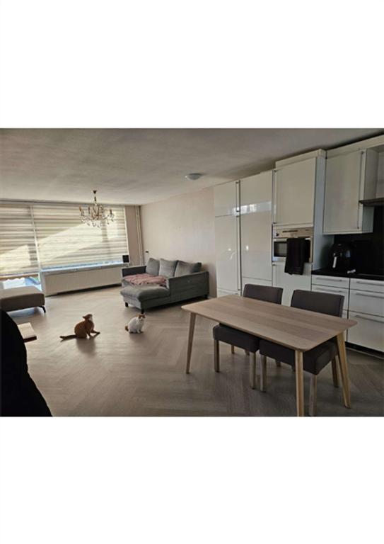 105 m² corner house with garden and roof terrace - Image 8