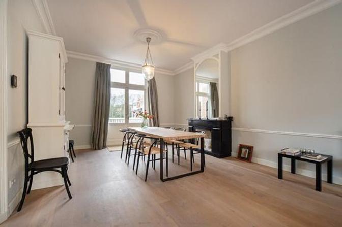 Furnished 3-Room Apartment in The Hague - Image 5