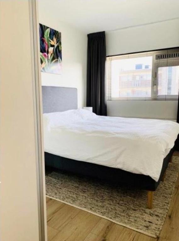 Furnished 2-Bedroom Apartment with Balcony - Image 5