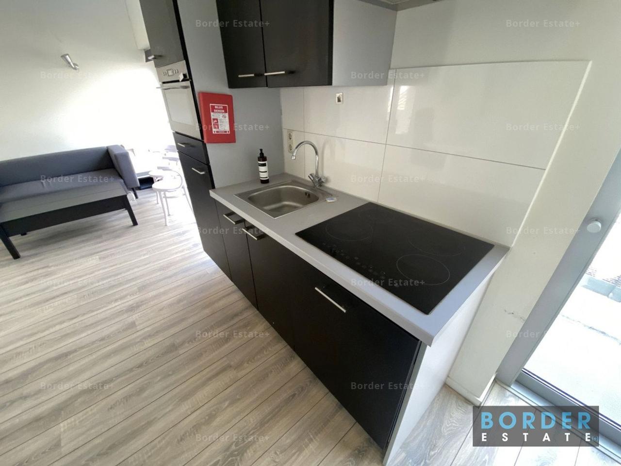 Furnished 25 m² Studio in Wyck - Image 2